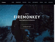Tablet Screenshot of firemonkeyx.com